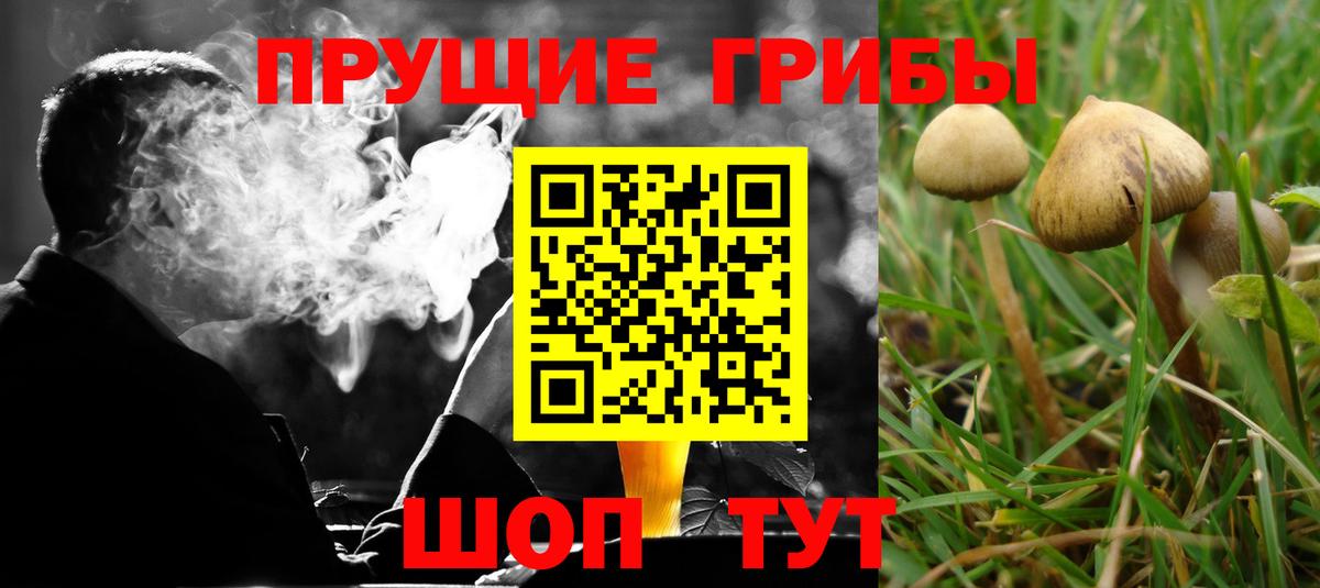 Галлюциногенные грибы Magic Shrooms Верхний Уфалей